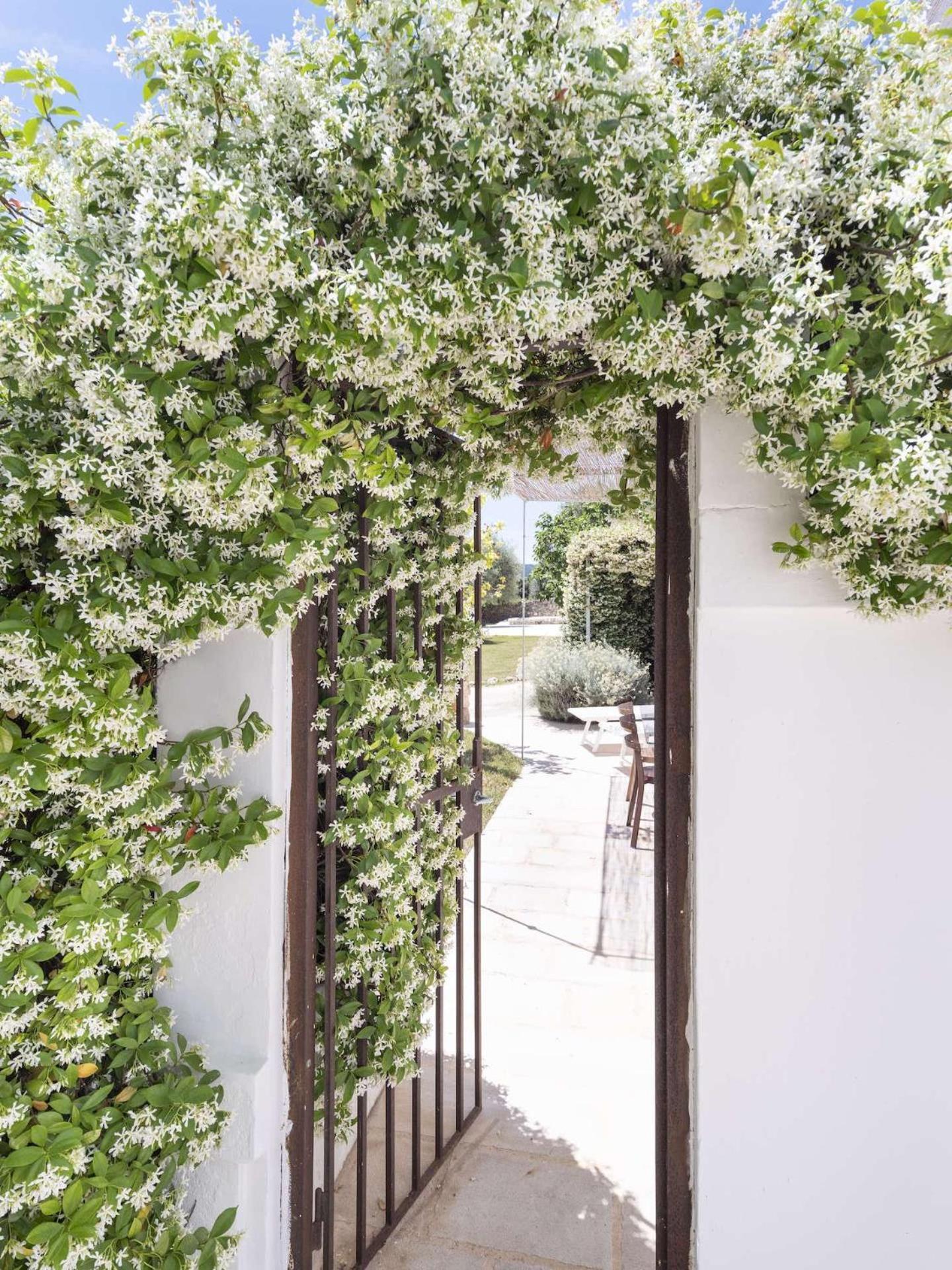 Masseria Alchimia 파사노 외부 사진